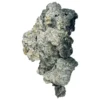 Spezielle Zauberpilze „Half Oz“ (14 Gramm)