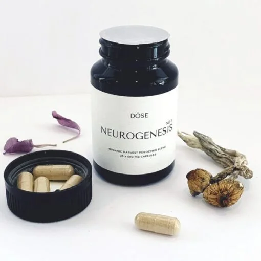 Neurogenesis Nr. 3 Mikrodosis-Psilocybin-Kapseln