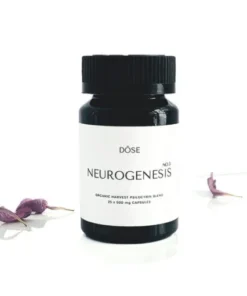 Neurogenesis Nr. 3 Mikrodosis-Psilocybin-Kapseln