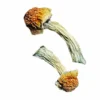 Magic Mushrooms Goldener Penis Neid