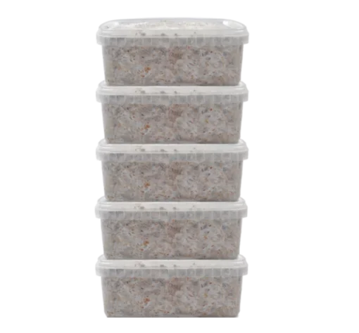 5 Zauberpilz-Zuchtsets im Angebot – Mondo®