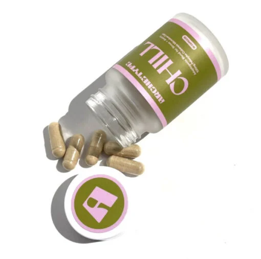 ARCHETYPE CHILL Pilz-Mikrodosiskapseln (Flasche mit 25 Stück)