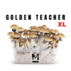 Mondo® Golden Teacher Zauberpilz-Zuchtset