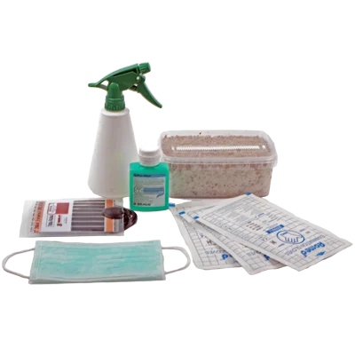 Zauberpilz-Zuchtset – GetMagic Starter Pack