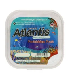 Atlantis Magische Trüffel